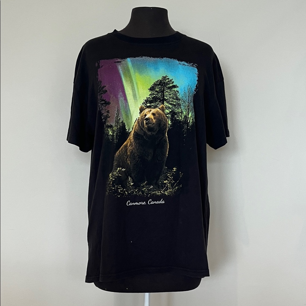 Bear in the Northern lights t-shirt